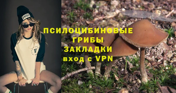 амф Алзамай