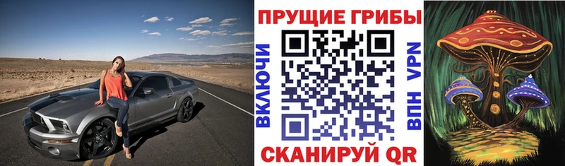 Галлюциногенные грибы ЛСД  Таганрог 