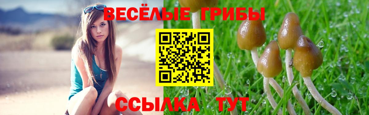 Псилоцибиновые грибы прущие грибы Таганрог